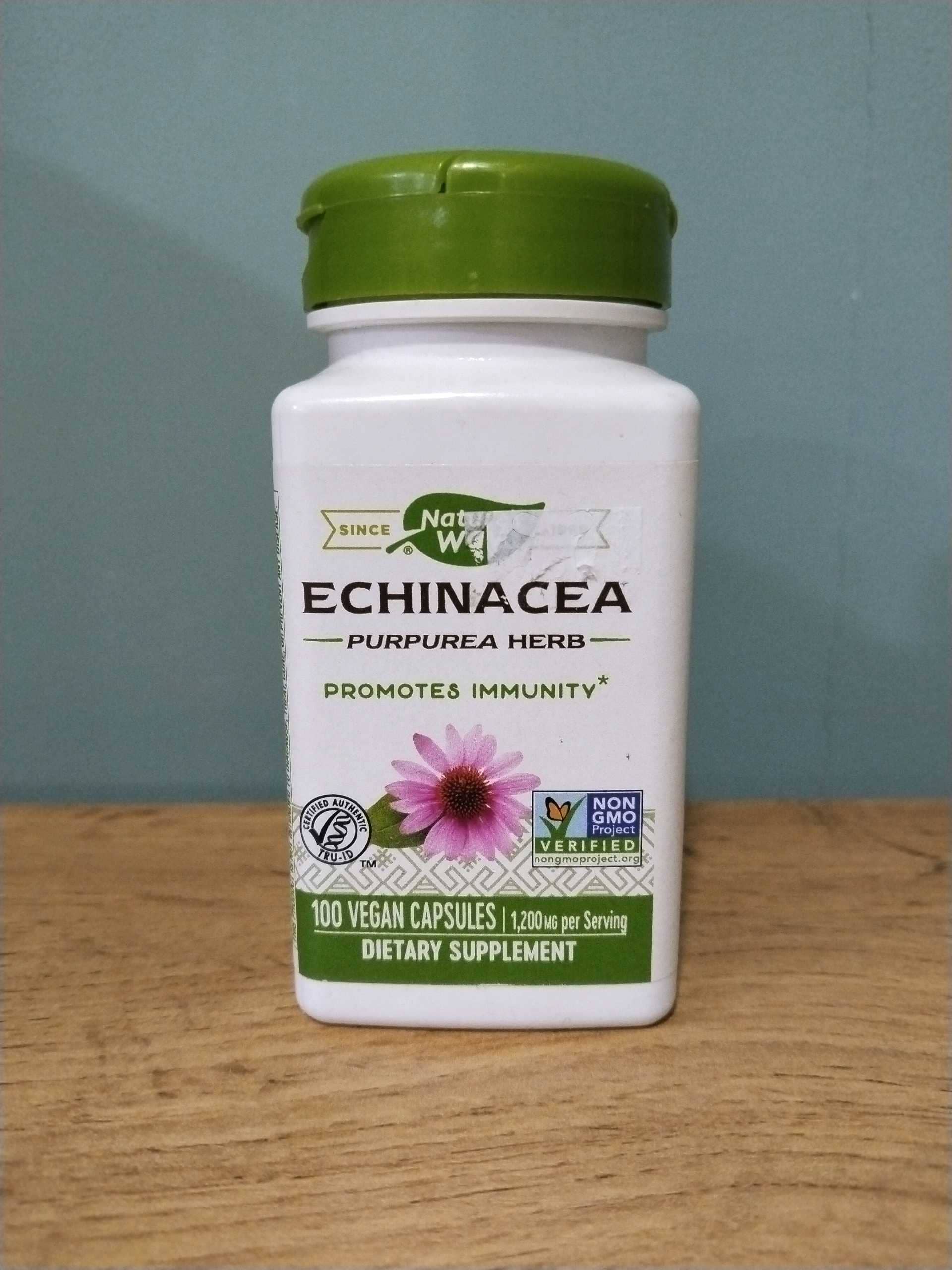 NATURES WAY ECHINACEA 100 1